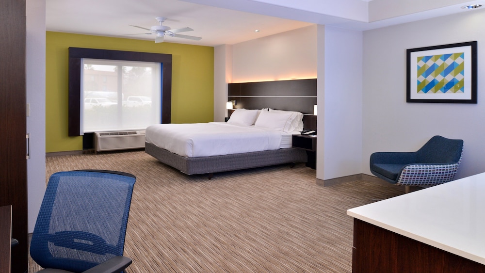 Holiday Inn Express Hotel And Suites La Place 18/50