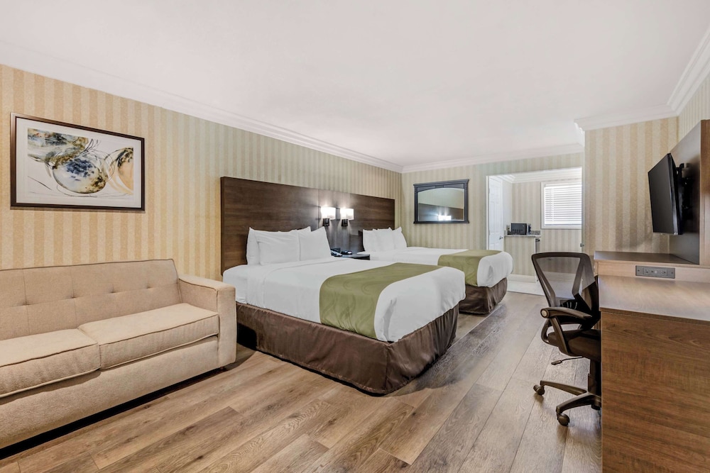 STANDARD, 2 QUEEN BEDS, ACCESSIBLE