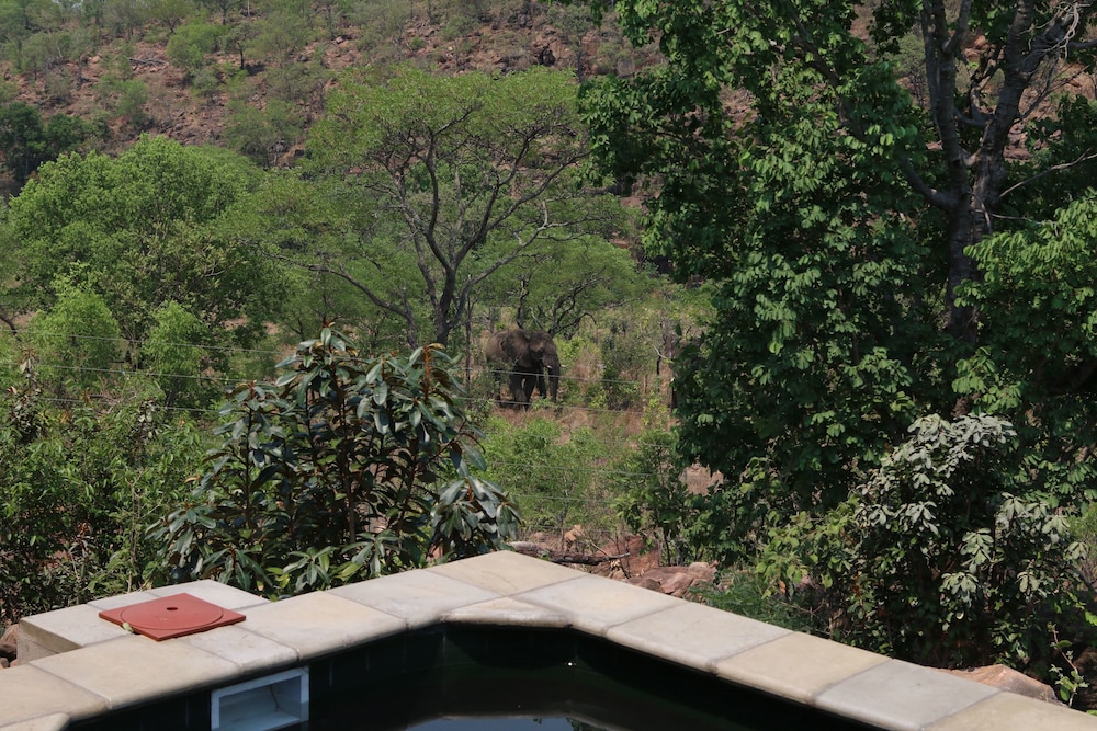 Inzalo Safari Lodge 32/45