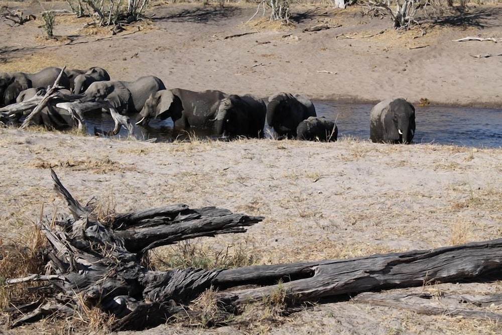 Khwai Tented Camp 31/50