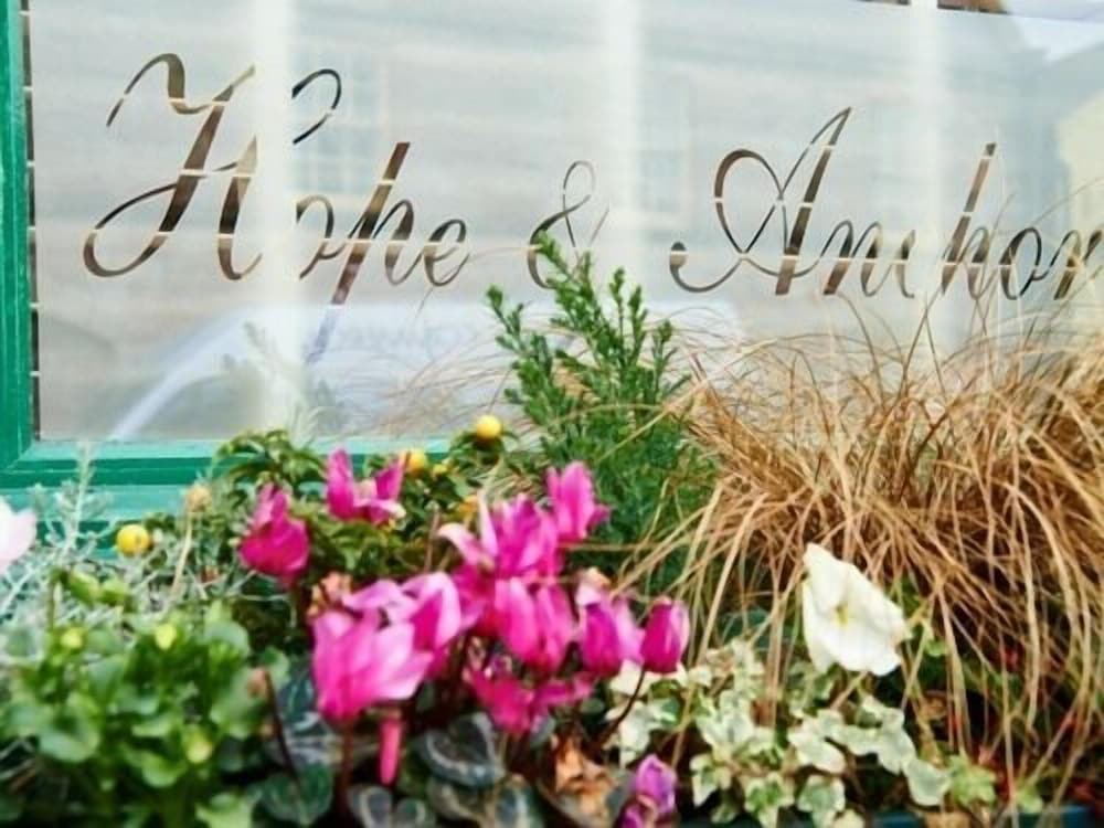 Hope and Anchor Hotel - Inn 4/38