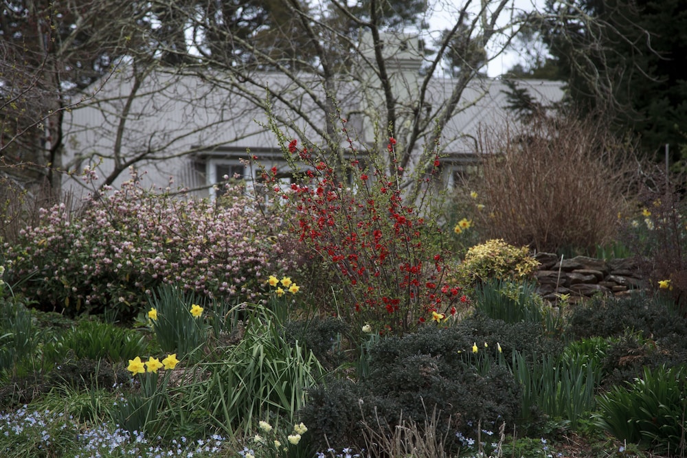 Parklands Country Gardens and Lodges 5/66