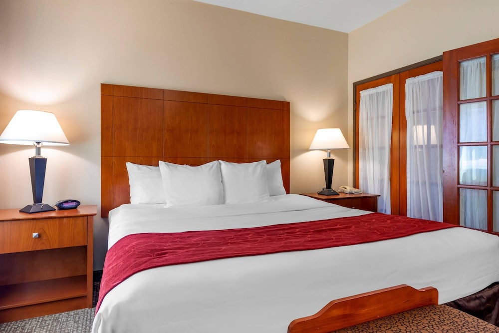 Comfort Suites North Dallas photo4