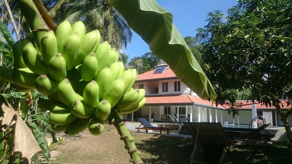 Anuhas Airport Villas 35/44