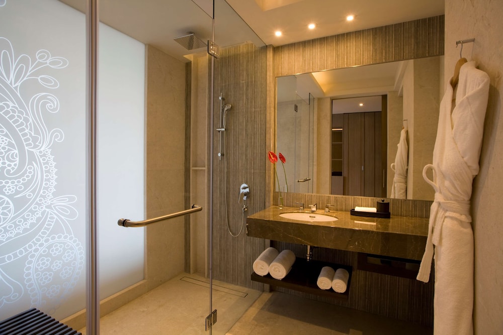 Hyatt Regency Ahmedabad 32/80