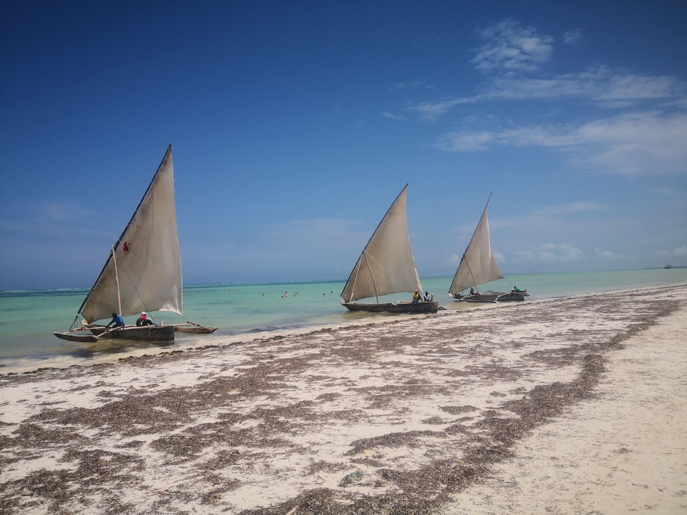 Mambo Ocean Resort 30/50