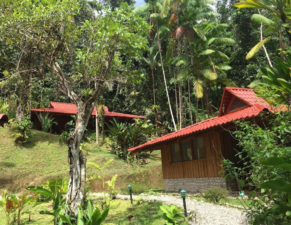Esquinas Rainforest Lodge 33/46