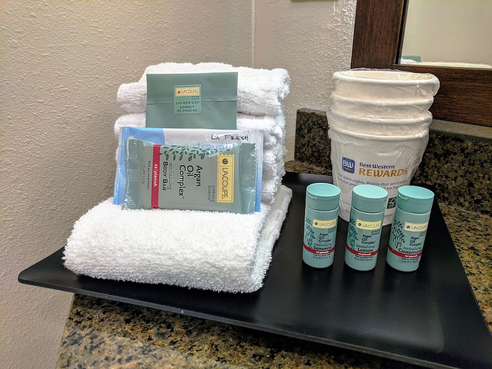 Best Western Rocky Mountain Lodge 17/43