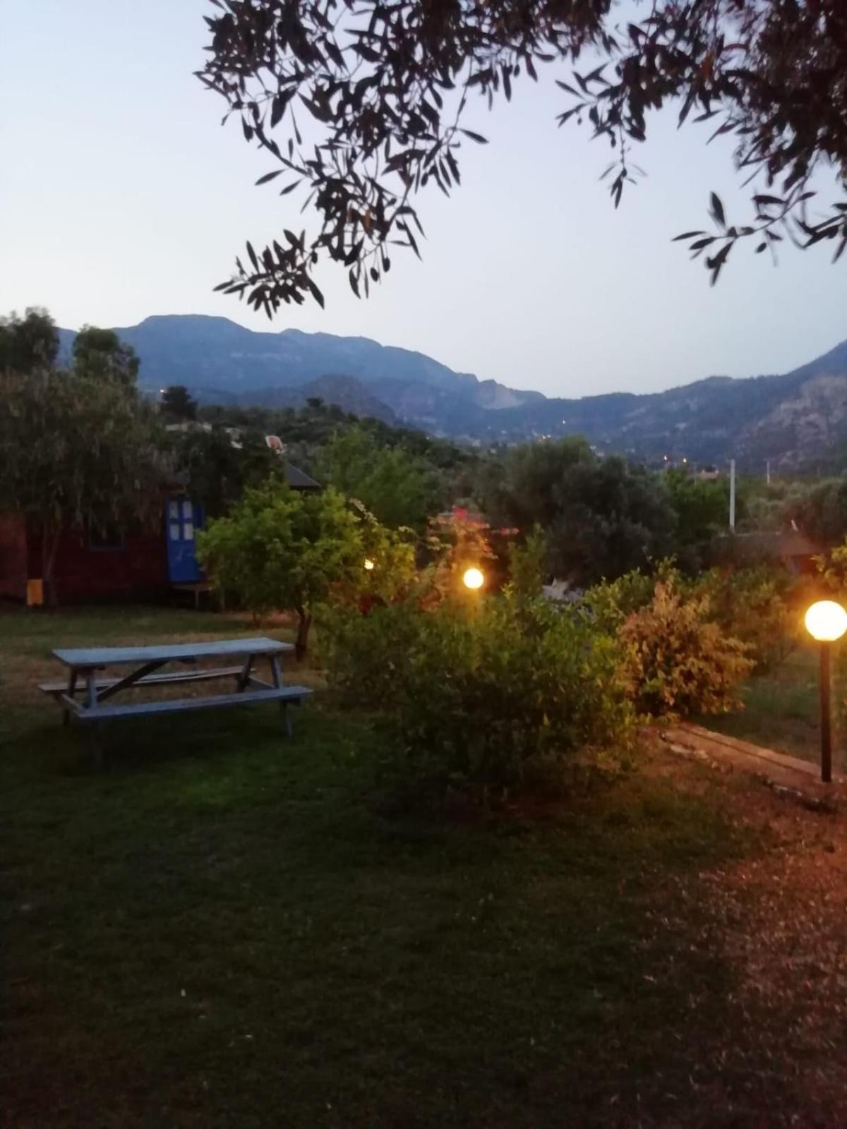 Bahar Bahce Datca 22/39