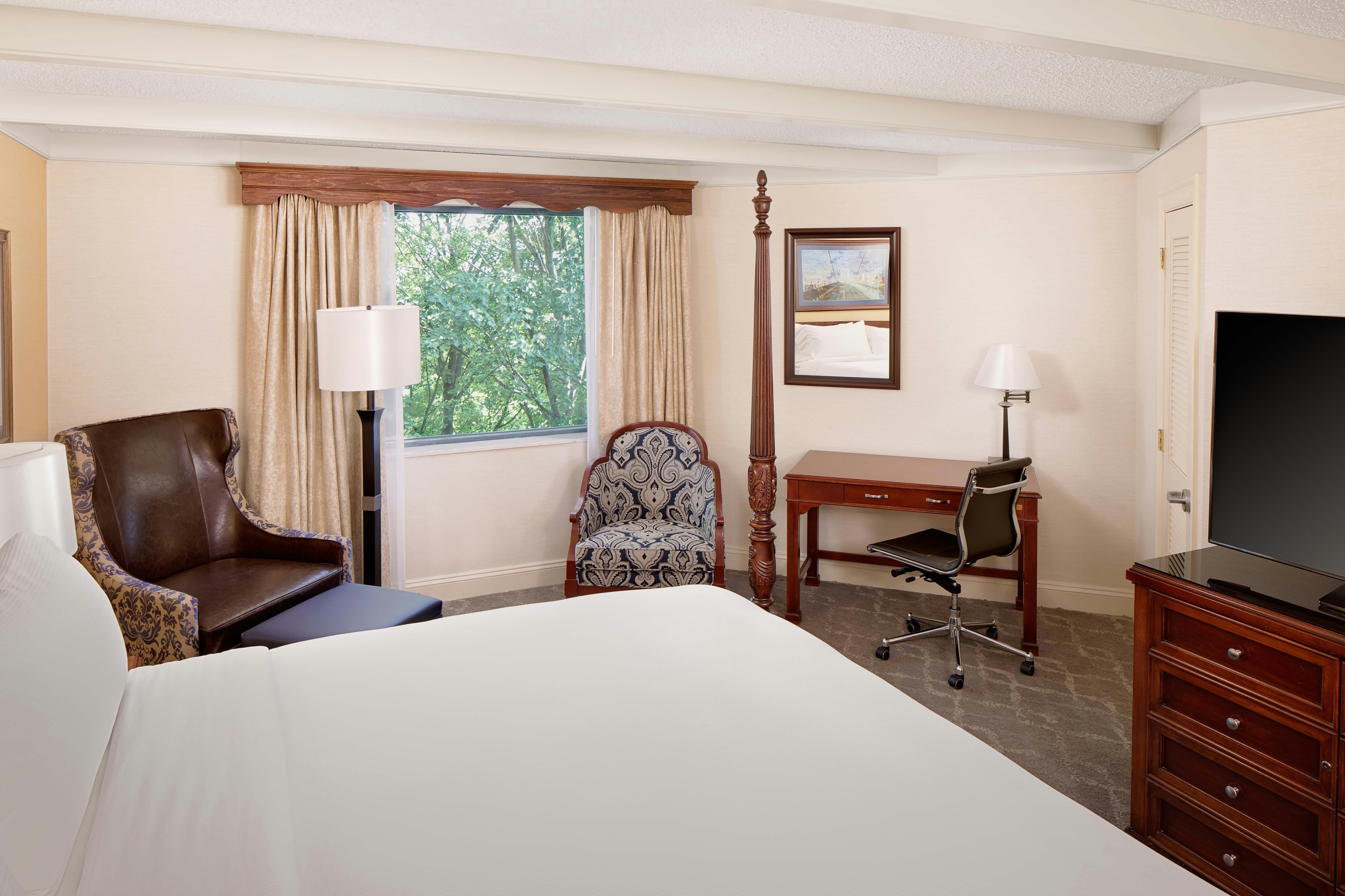Room, King Bed, Large