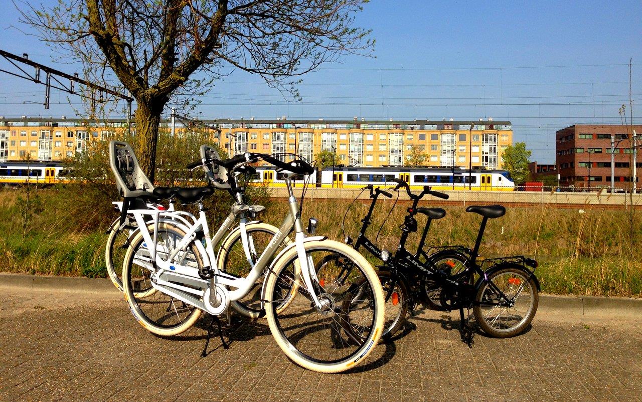 Best Western Zaan Inn 8/16