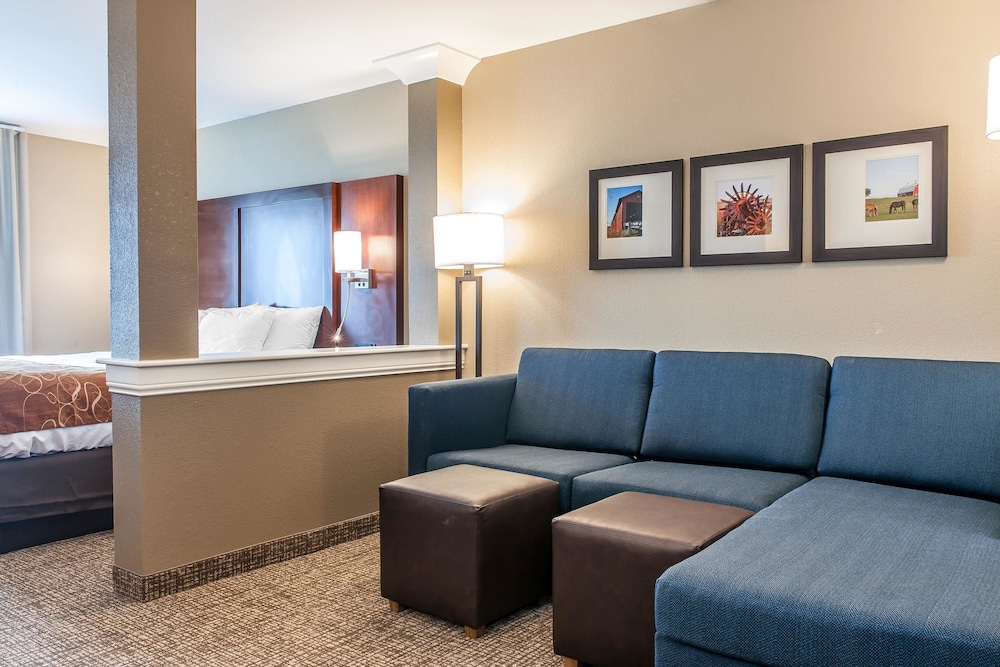 Comfort Suites Rensselaer Near Fair Oaks 26/42
