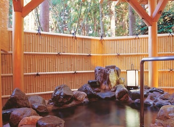 ICHIRINO KOGEN HOTEL ROAN 14/47