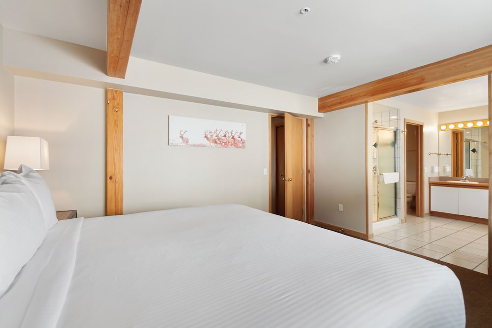 Gold Point Resort Breckenridge by Vacatia 10/50