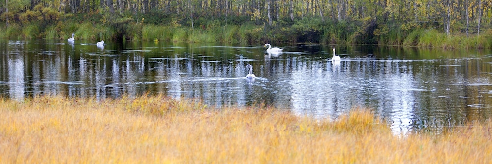 surroundings