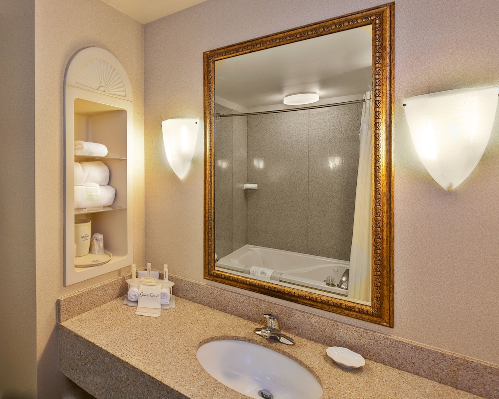 Holiday Inn Express Hotel Suites Dyersburg 18/41