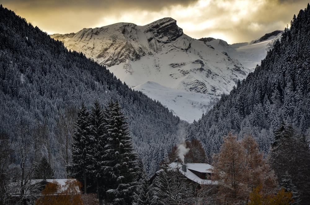 The Park Gstaad, Four Seasons Hotel 45/50