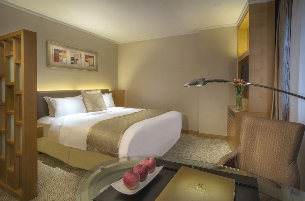 Millennium Hotel Chengdu 29/76