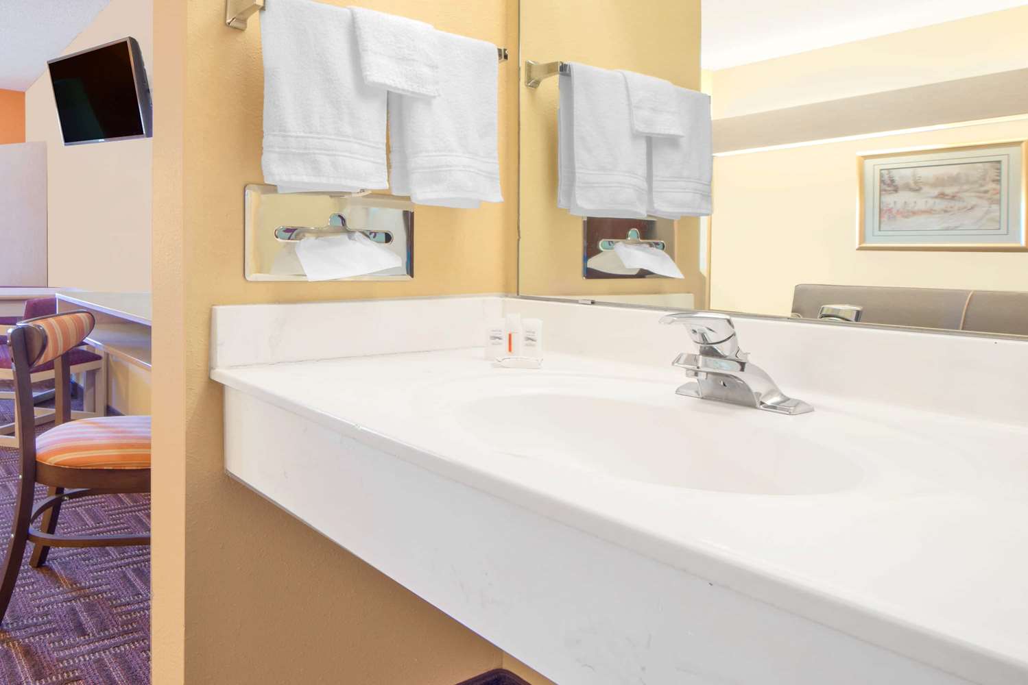 Microtel Inn & Suites By Wyndham Amarillo 17/19