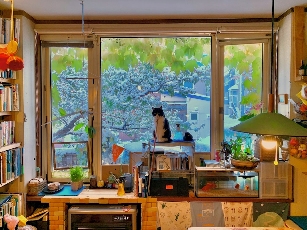 Otarunai Backpackers' Hostel Morinoki 7/48