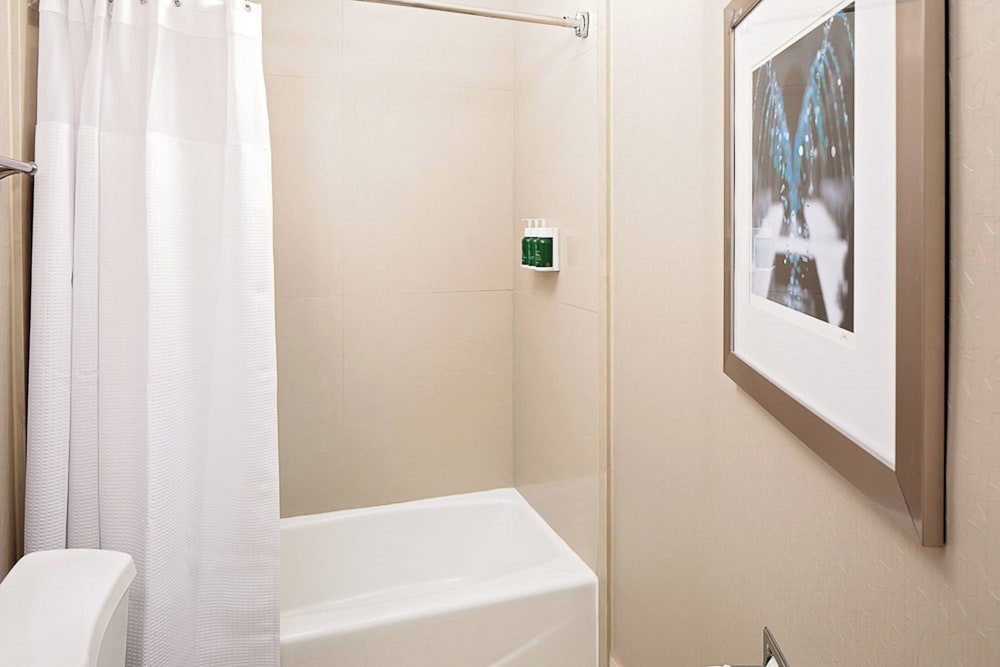 جناح بسرير كينج مع سرير سحّاب إضافي لذوي الإعاقة، SpringHill Suites by Marriott El Paso 5/6