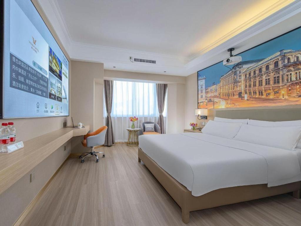 Vienna Hotel (Nanning Railway Station) 20/50