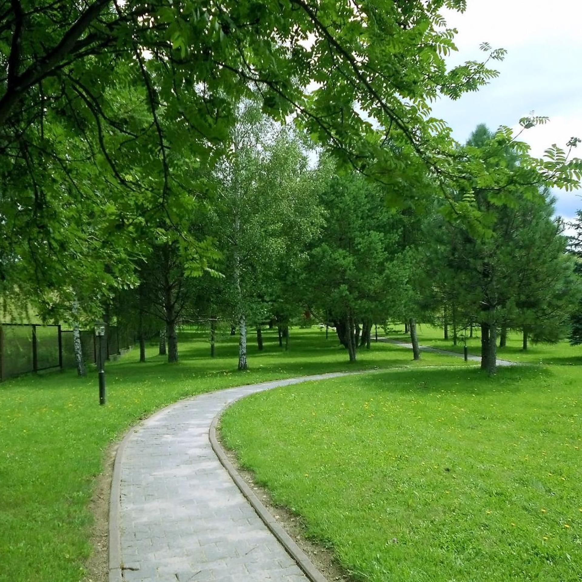 Geovita Zlockie 50/60