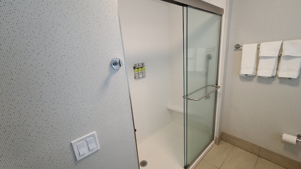 جناح بسرير فردي بغرفة نوم واحدة مع أريكة، Holiday Inn Express Hotel And Suites Albany 5/5