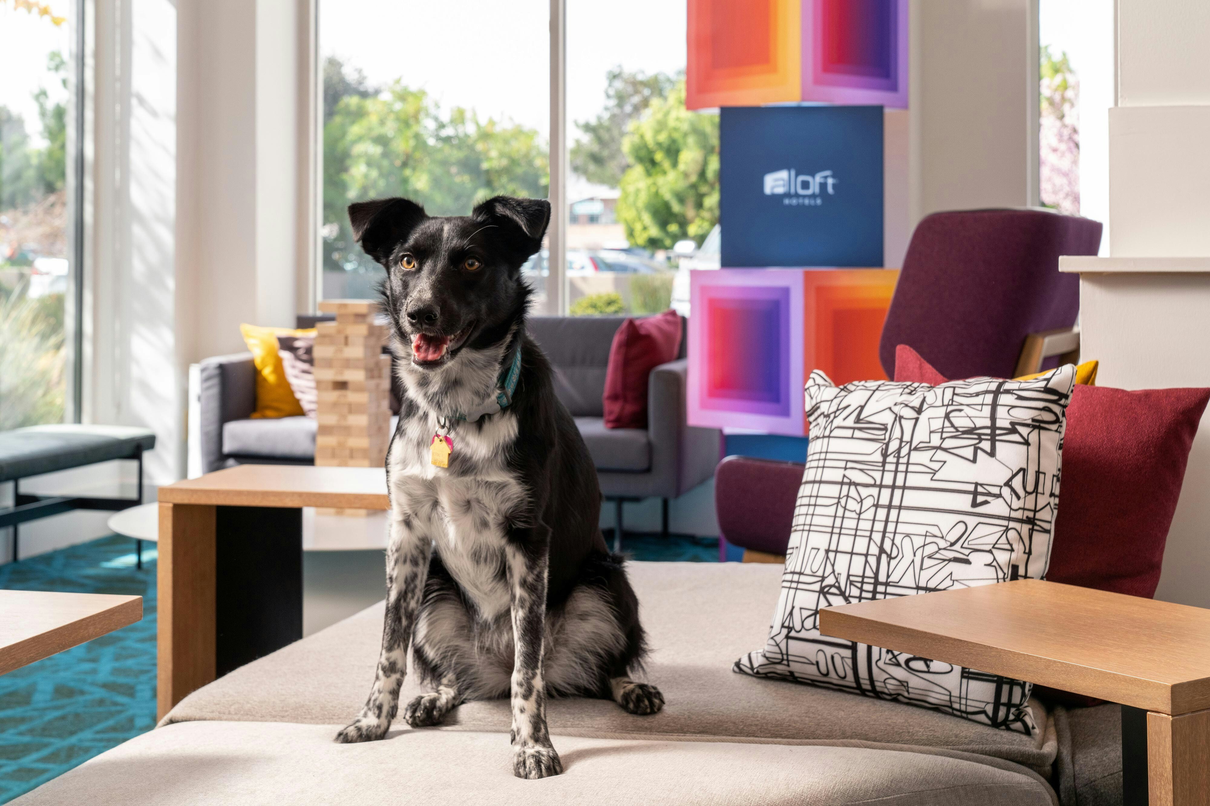 Aloft Mountain View 14/21