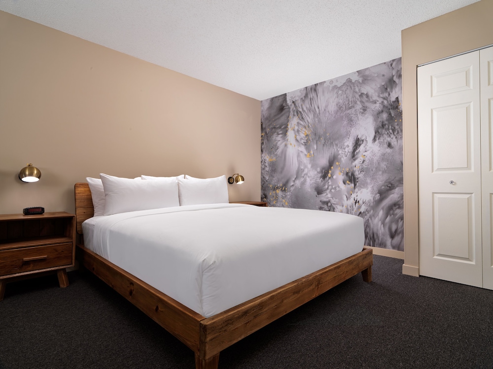 EXECUTIVE, STUDIO, SUITE