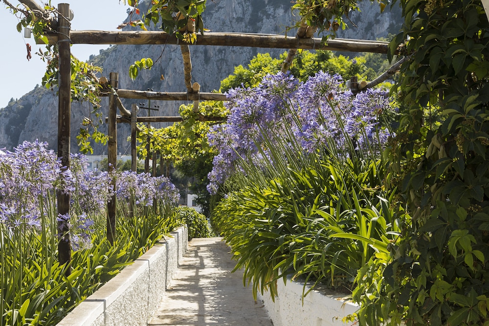 Suite Time Capri Villa La Pergola 35/50