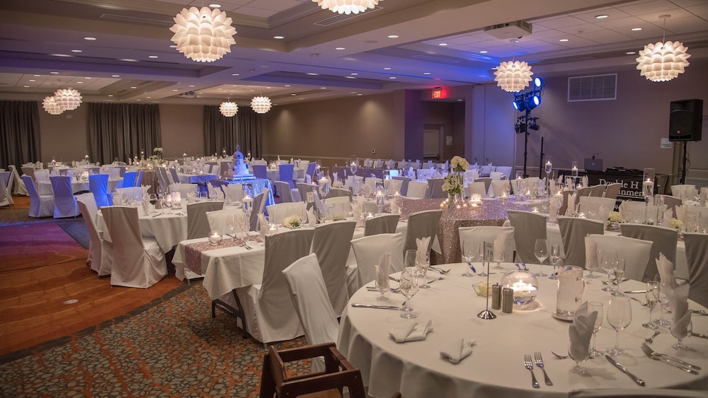 Holiday Inn Hotel And Suites Davenport 43/56
