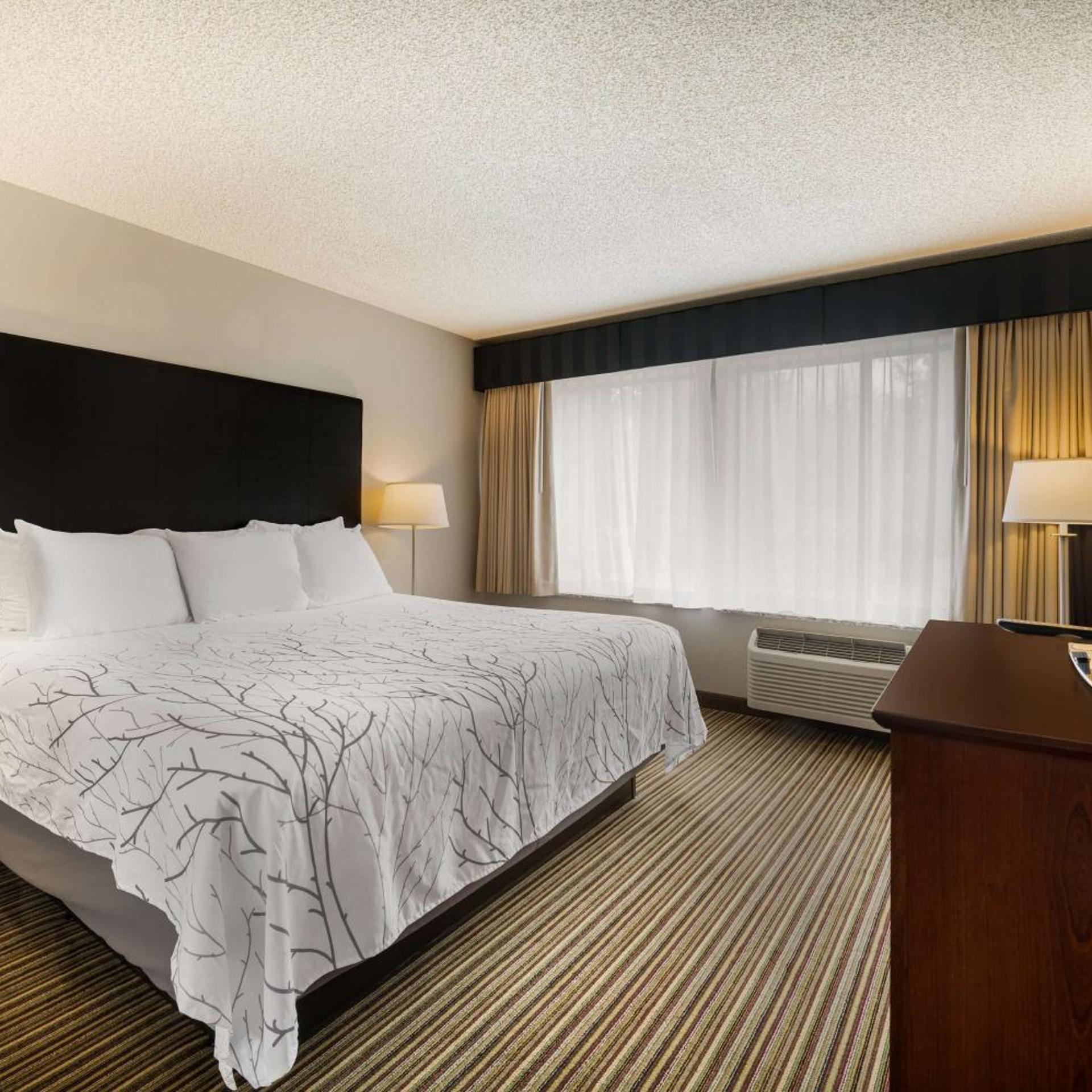 1 Bedroom, Apartment, King Bed, Sofa