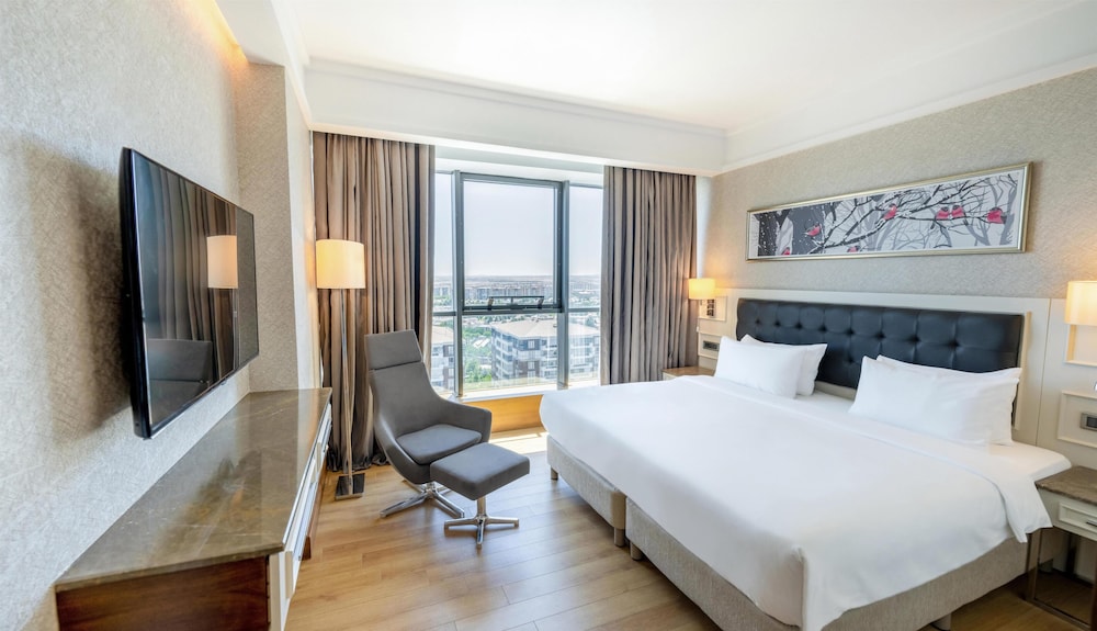 Radisson Blu Hotel Diyarbakir 17/48