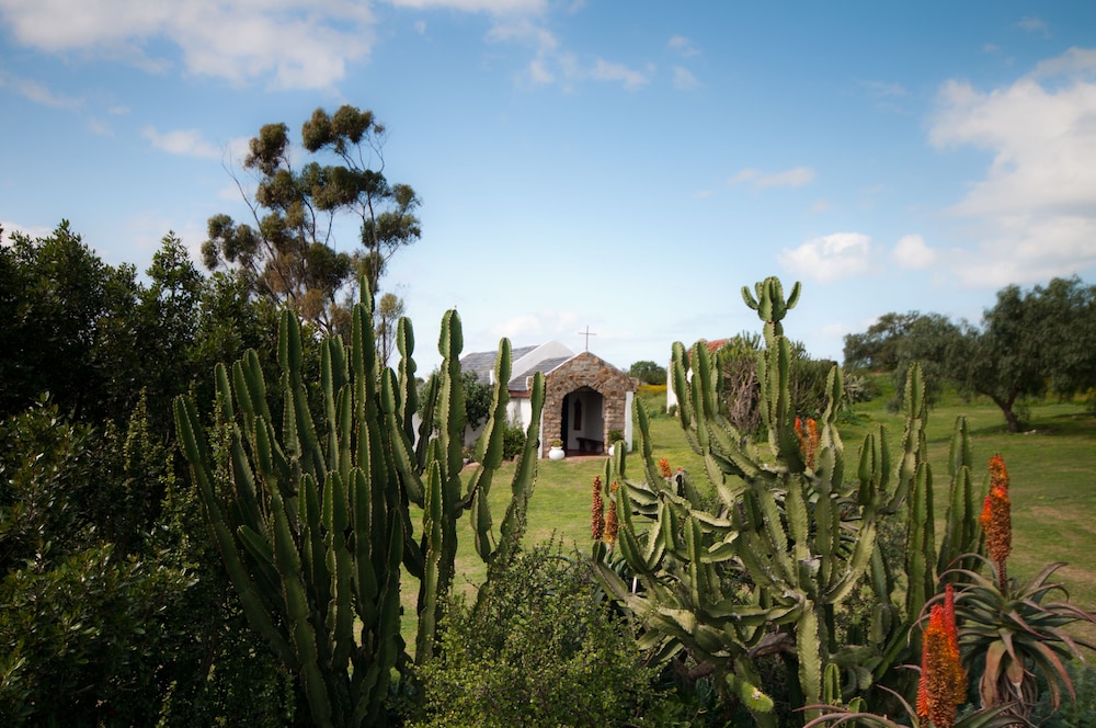 Leeuwenbosch Country House 42/42