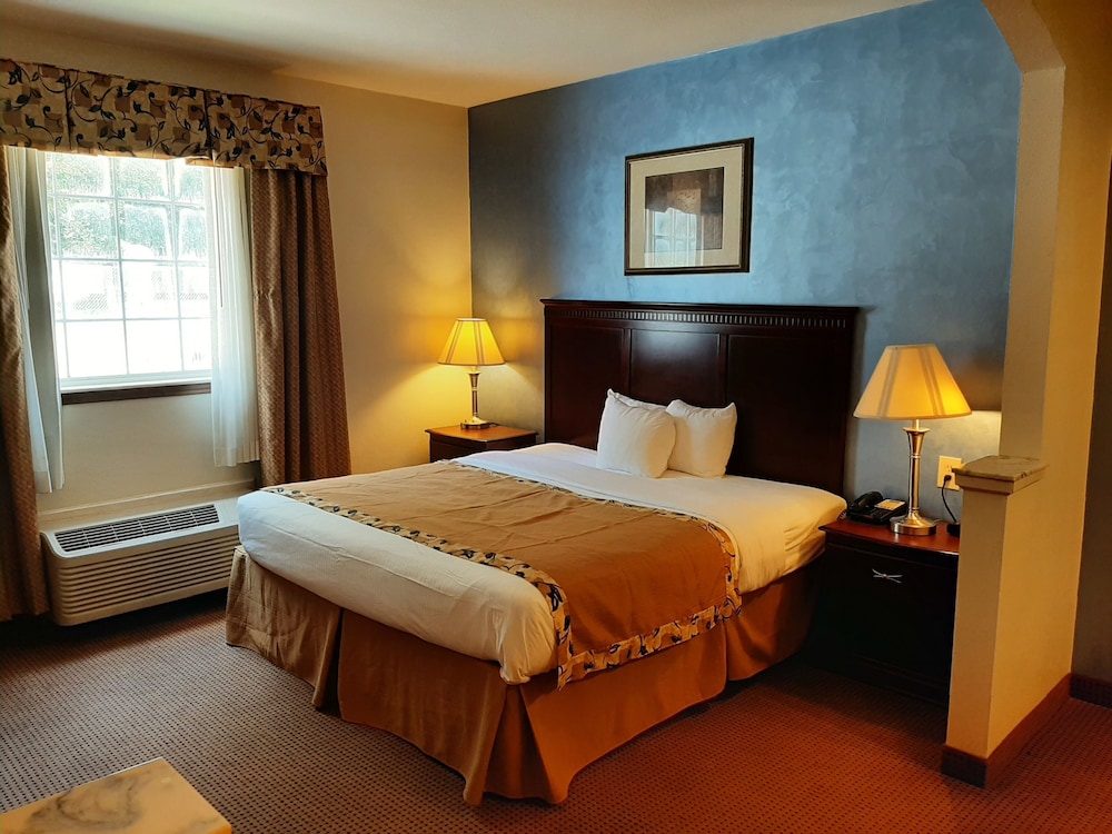 Senior, Suite, King Bed