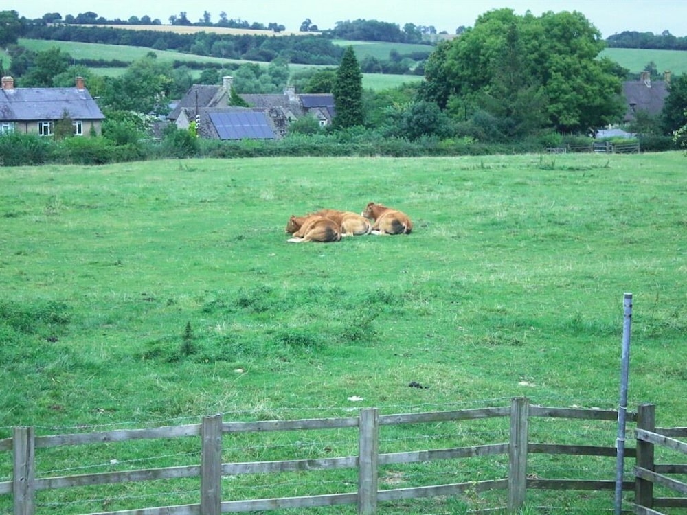 Stone House Bed And Breakfast 15/19