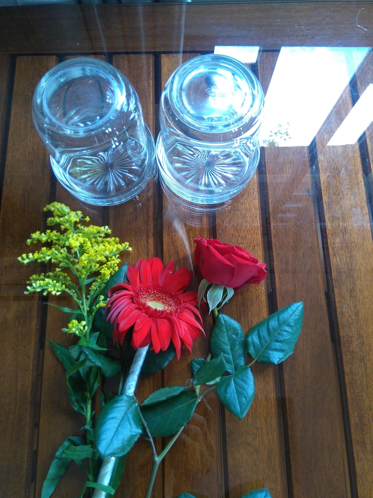 Green Coco Homestay Hoi An 66/91