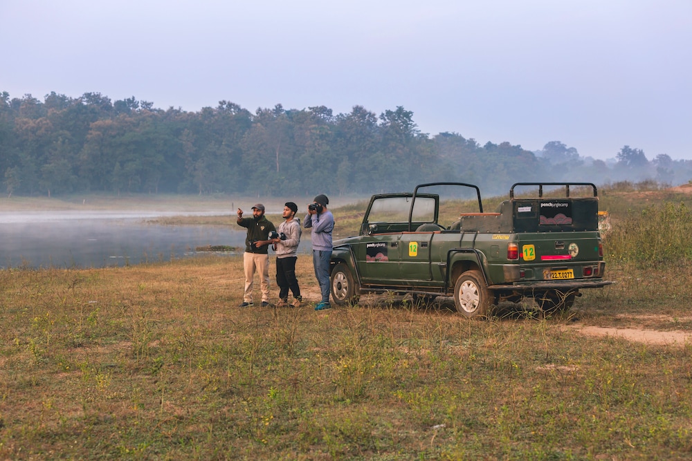Pench Jungle Camp 8/71