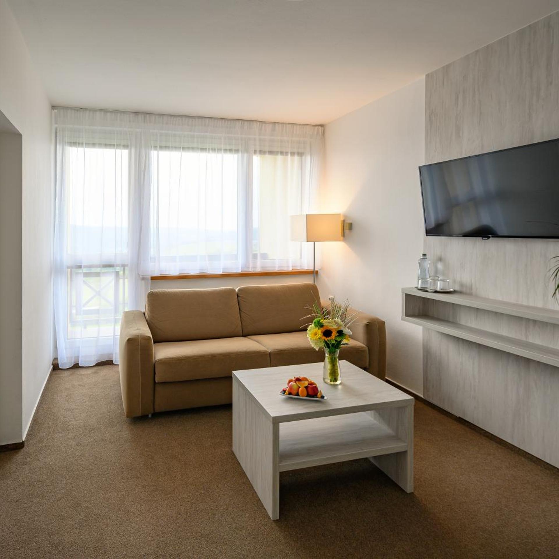 Hotel Vega Luhacovice 37/58
