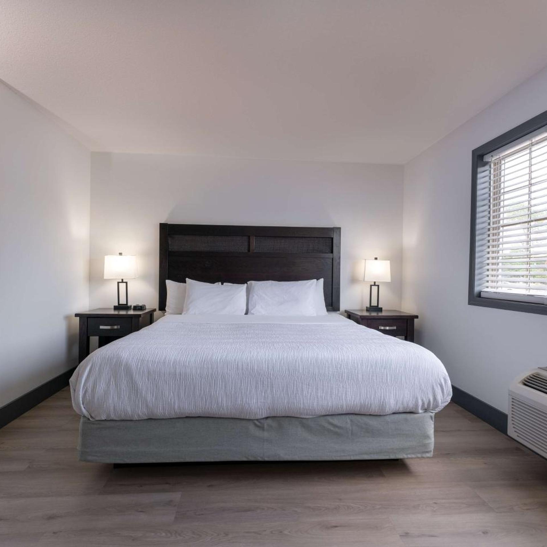 Suite, King Bed, Sofa