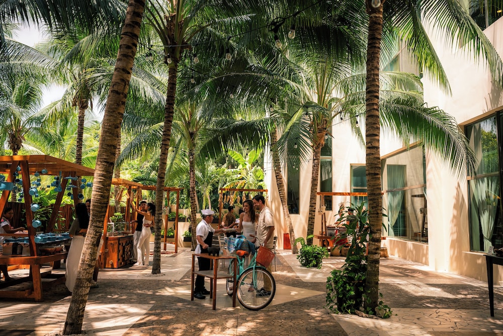 El Dorado Seaside Suites Oceanfront, All & More Inclusive - Adults Only 35/50