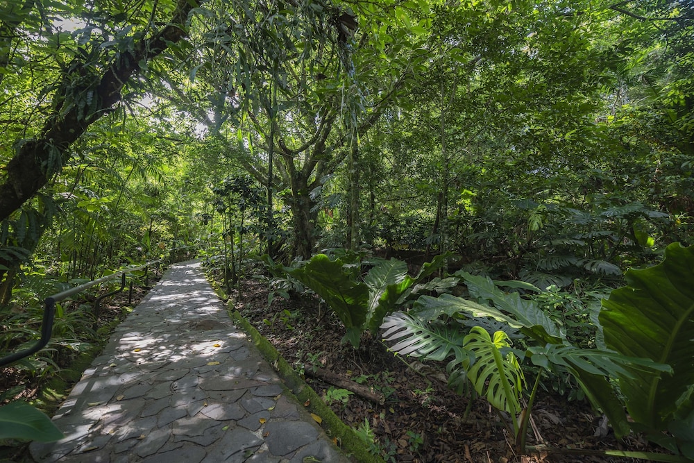 Monteverde Luxury Hotel 64/67
