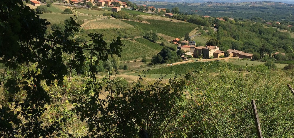Le Clos des Fayettes 37/50