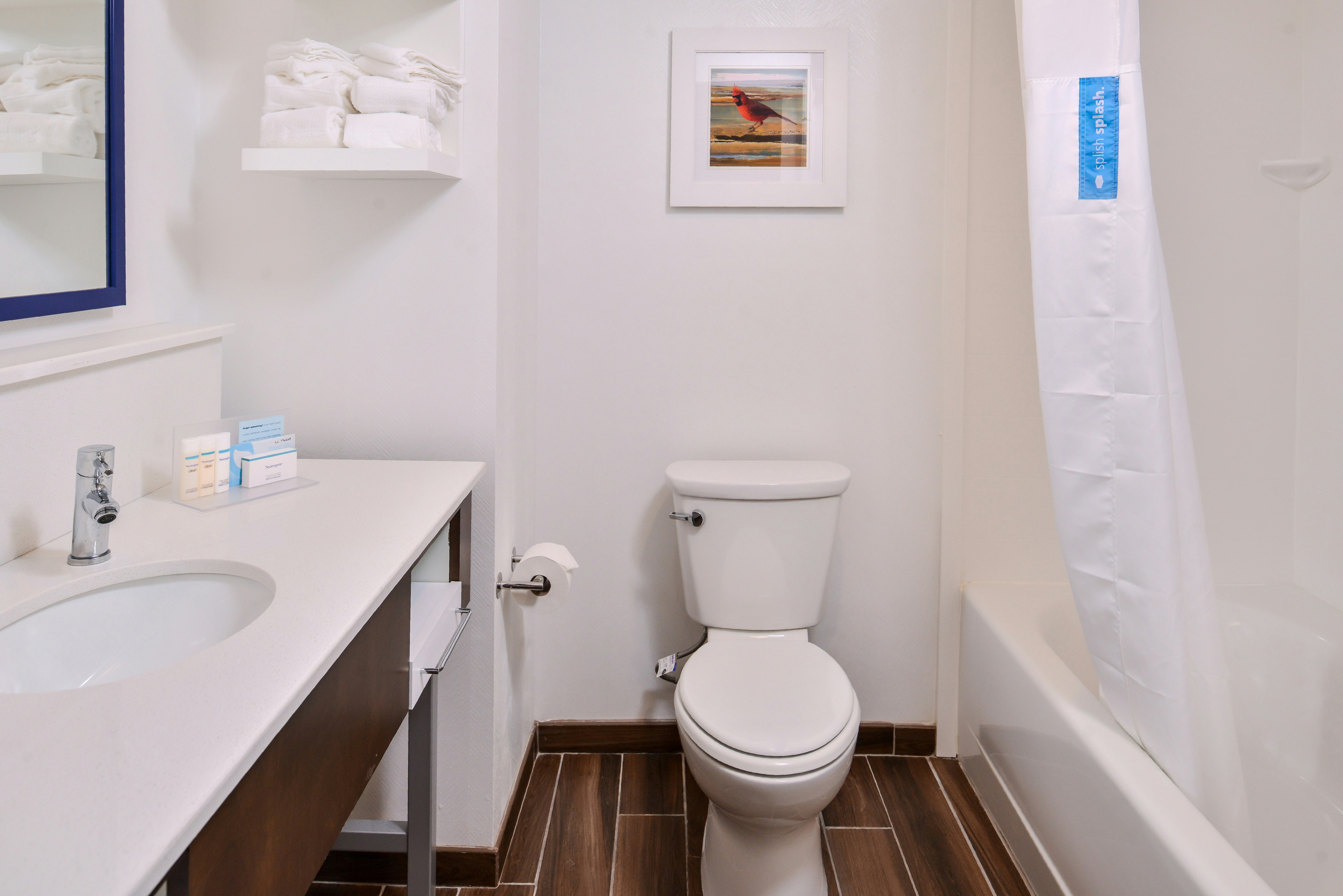 استوديو بسريرين كوين لذوي الإعاقة، Hampton Inn Benson Nc 3/4