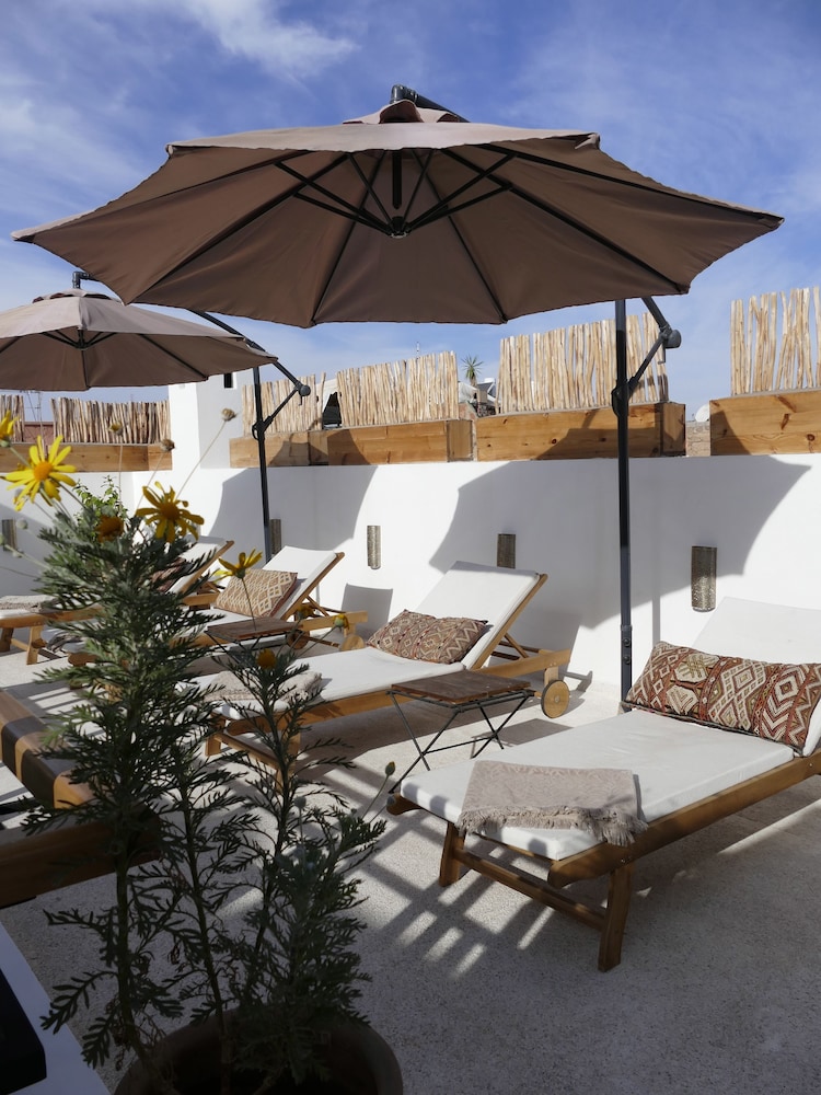 Riad Zebrakaro 29/29