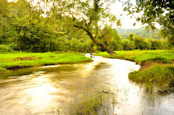 MERIYANDA NATURE LODGE, COORG 12/15