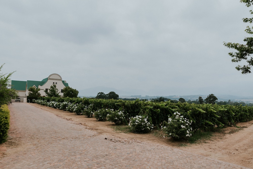 Cana Vineyard Guesthouse 64/76