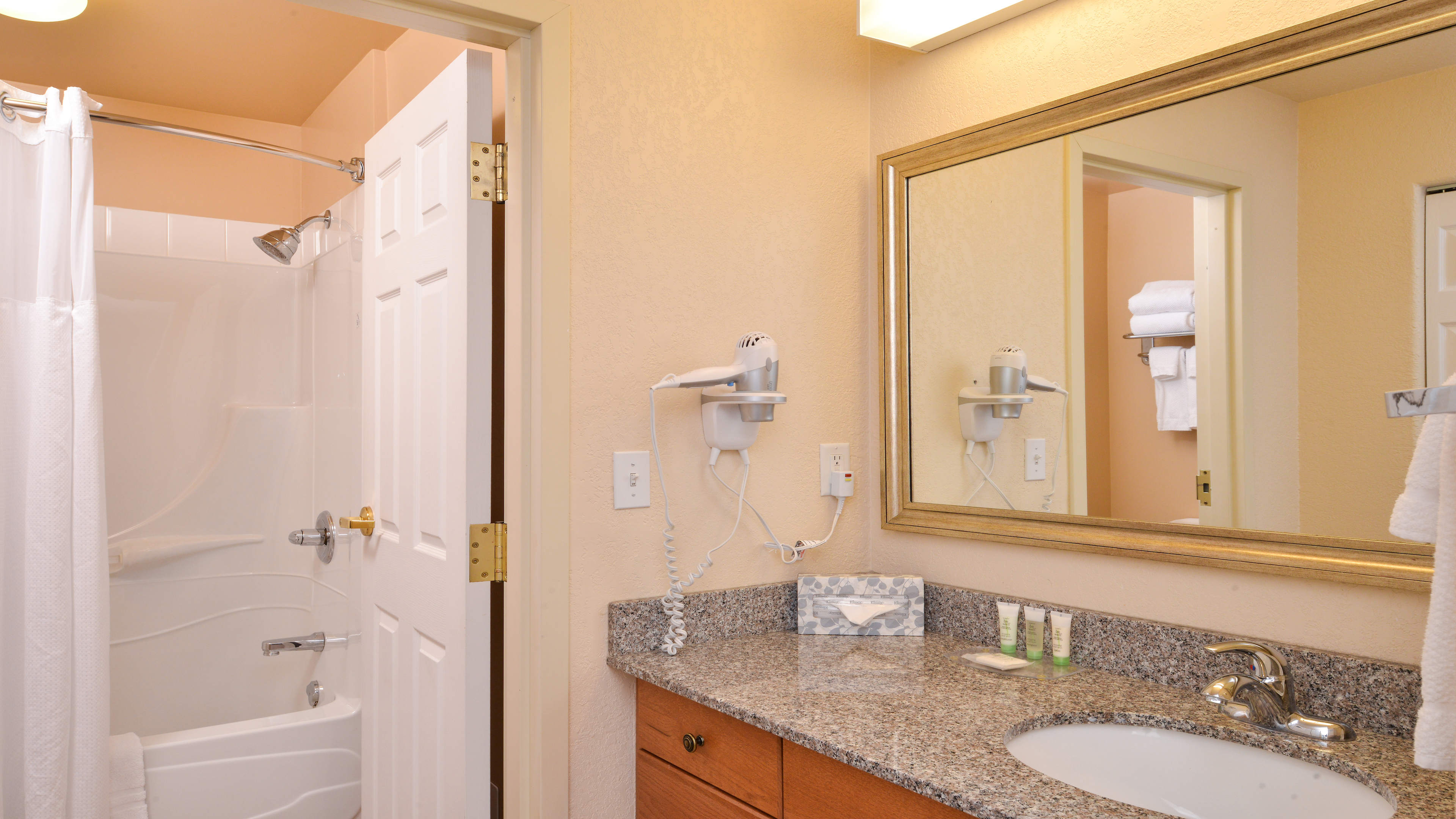Studio, Suite, Queen Bed, Sofa
