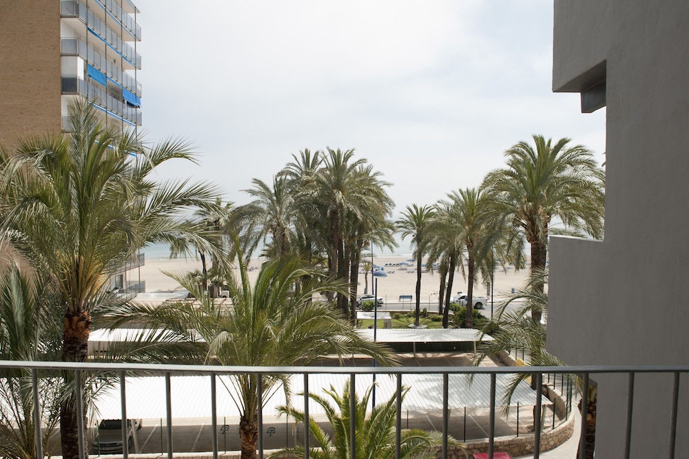 El Palmeral Hotel 23/26
